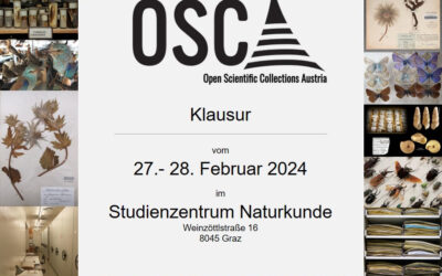 OSCA Klausur in Graz